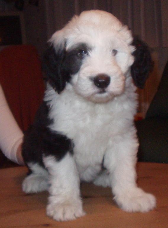 Doro im Dezember 2005